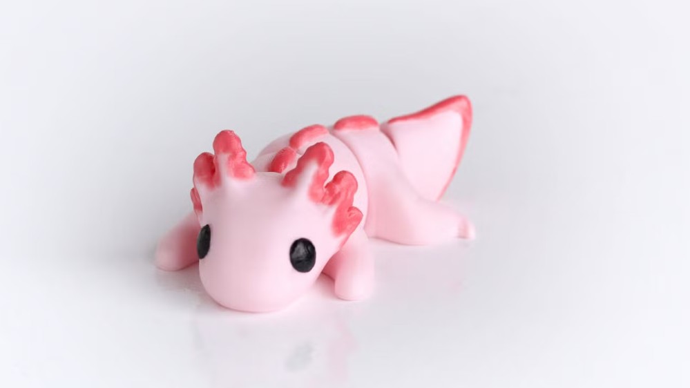 Axolotl