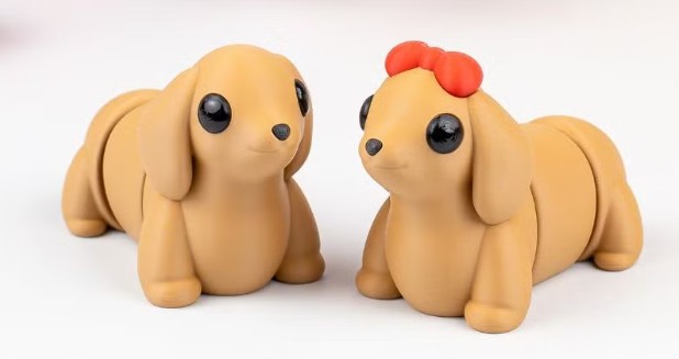 Dachshund