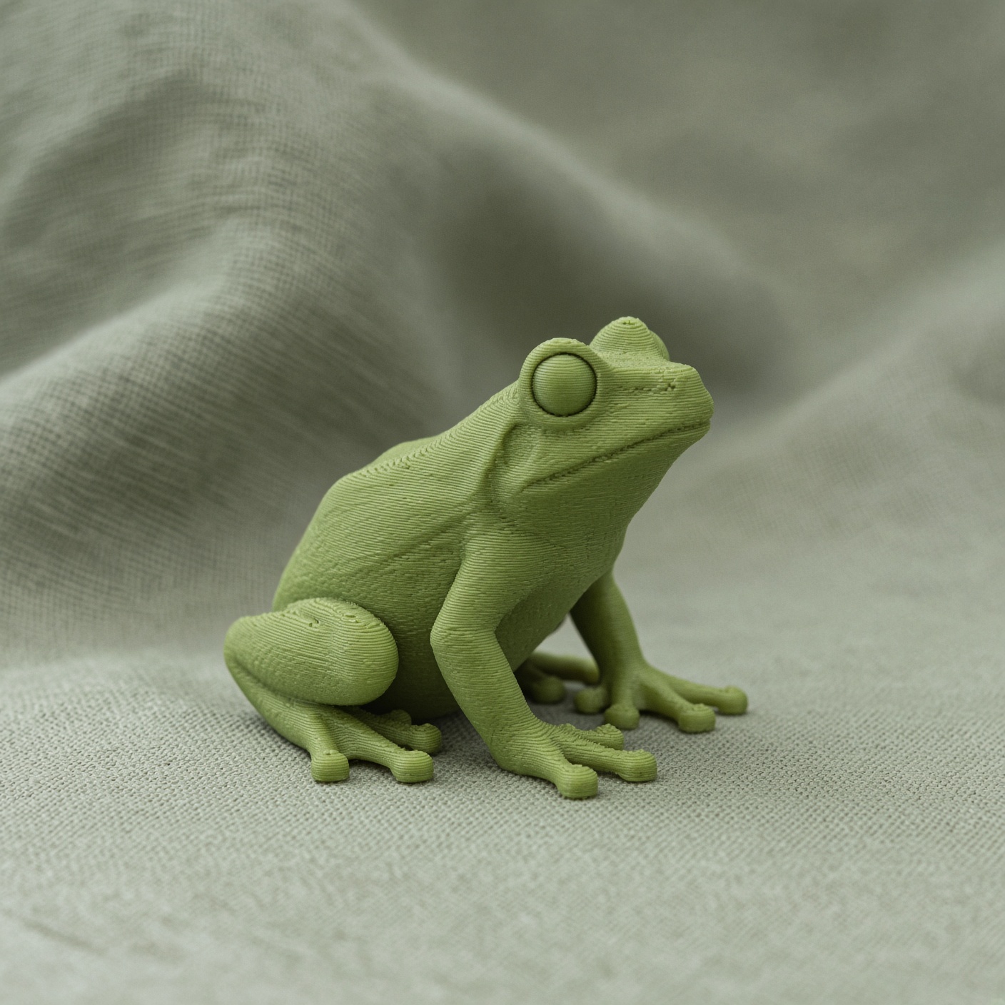 Frog